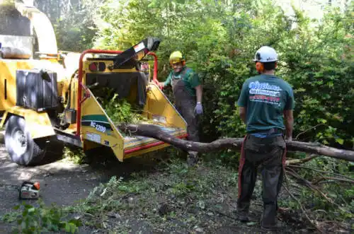 tree services Haskell